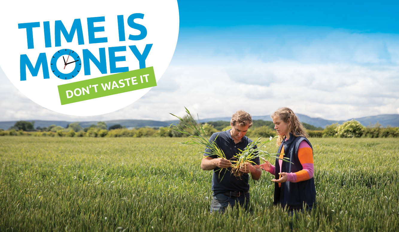 Two people examining crops in a field